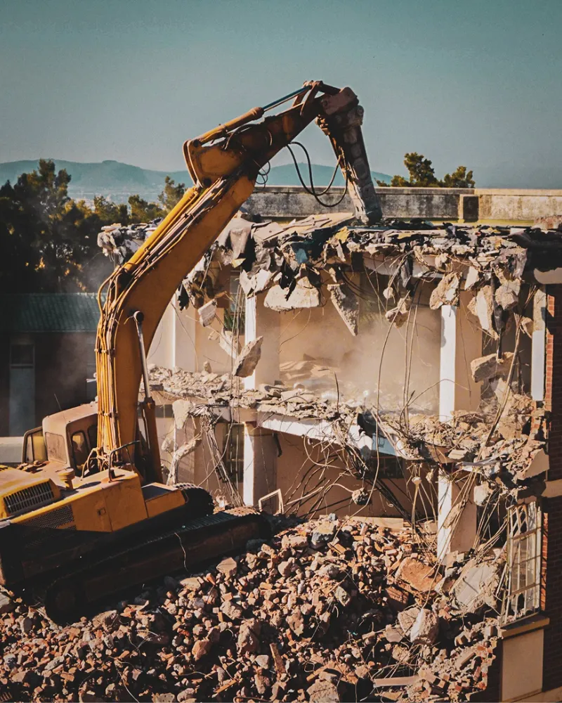 who como for excavation img (1)
